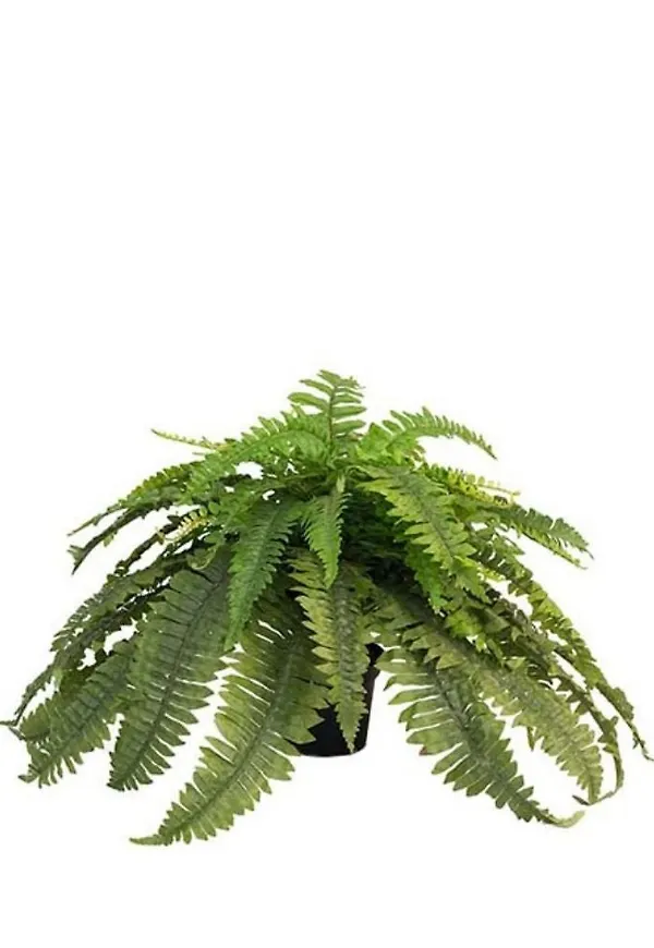 Vacker konstväxt i grönt från Mr Plant.