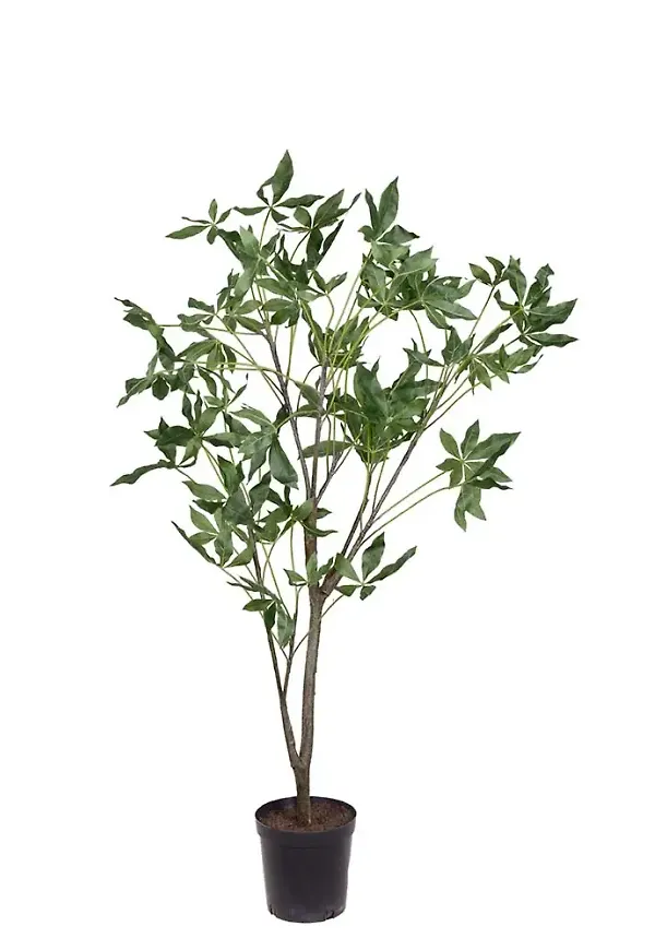 Skön konstväxt i grönt från Mr Plant.