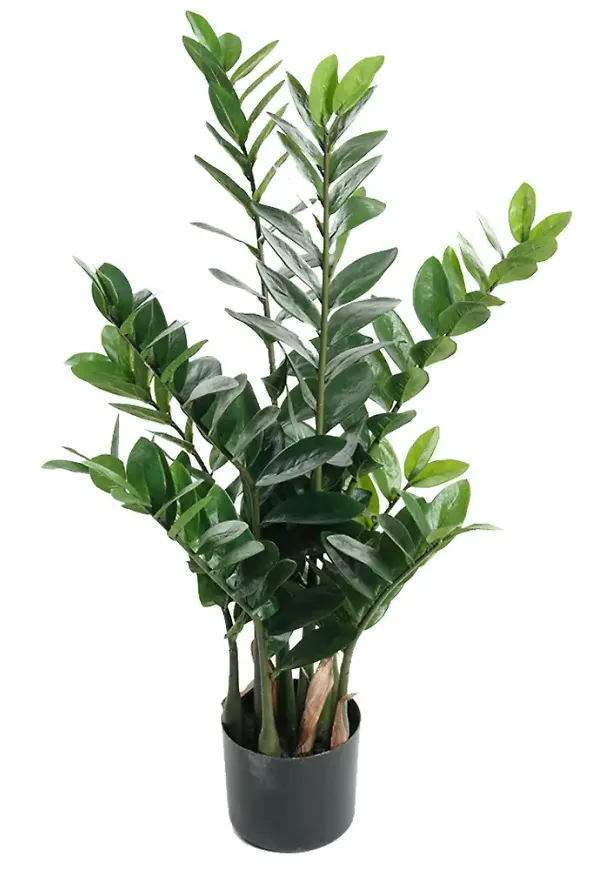 Grön Mr Plant-konstgjord växt i otroligt fin modell.