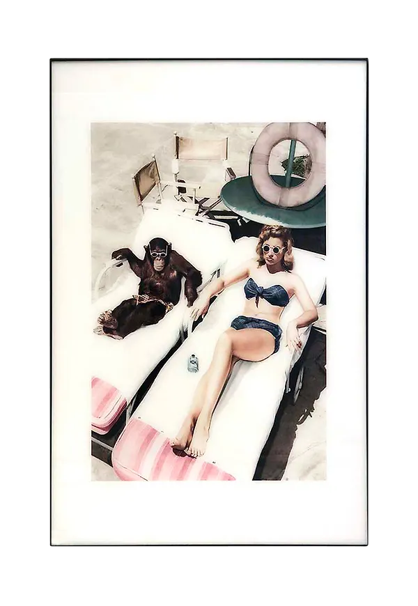 Stilriktig träram 2025 från Nordic Furniture Group.