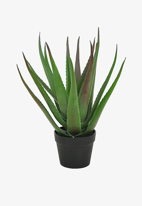 Grön Nordic Furniture Group-kruka i superfin modell.