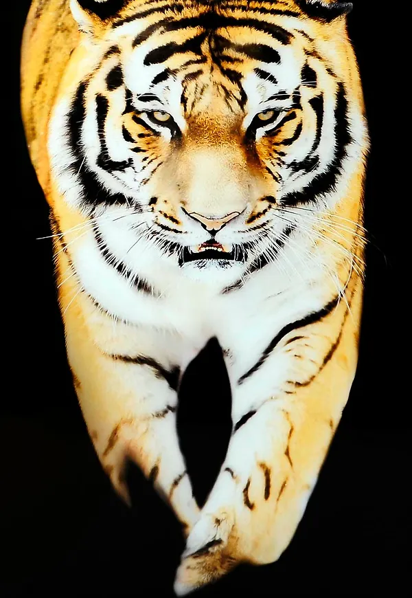 Vacker träram i svart från Nordic Furniture Group.