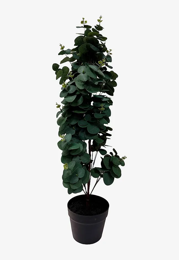 Superfin grön kruka 2026 från Nordic Furniture Group.