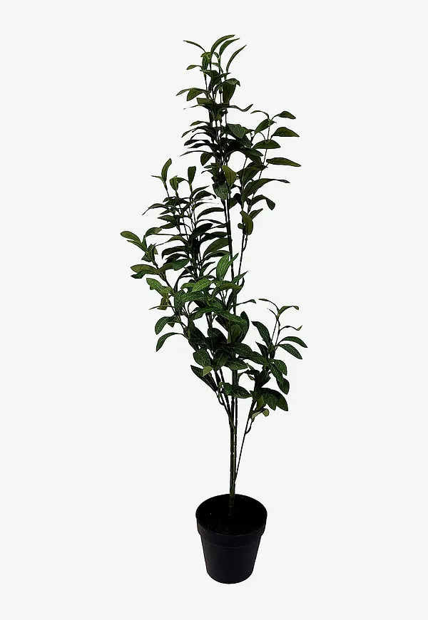 Ikonisk grön kruka 2026 från Nordic Furniture Group.