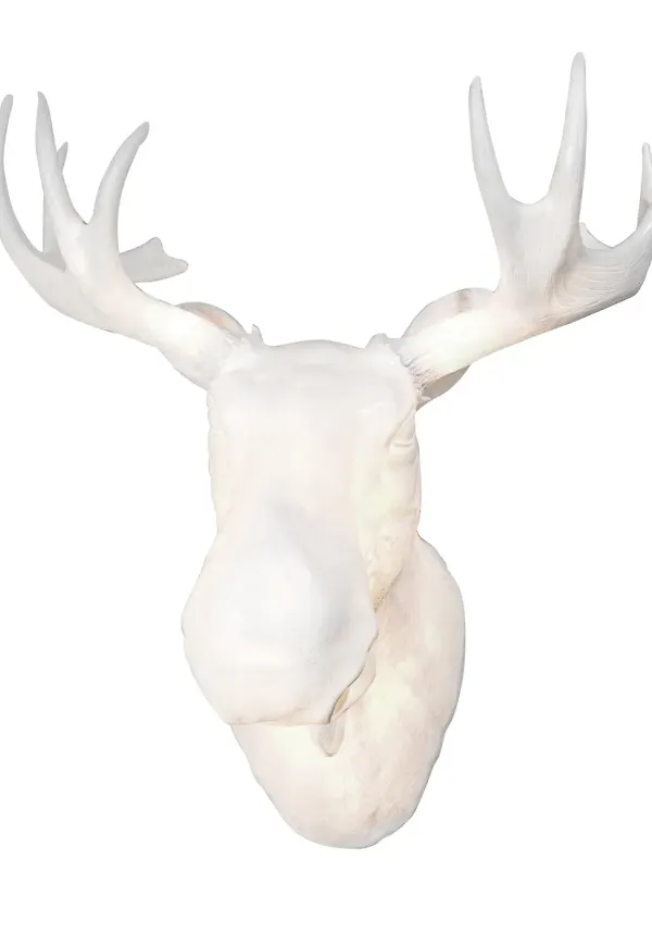 Moderiktig vit lampa 2025 från Northern.