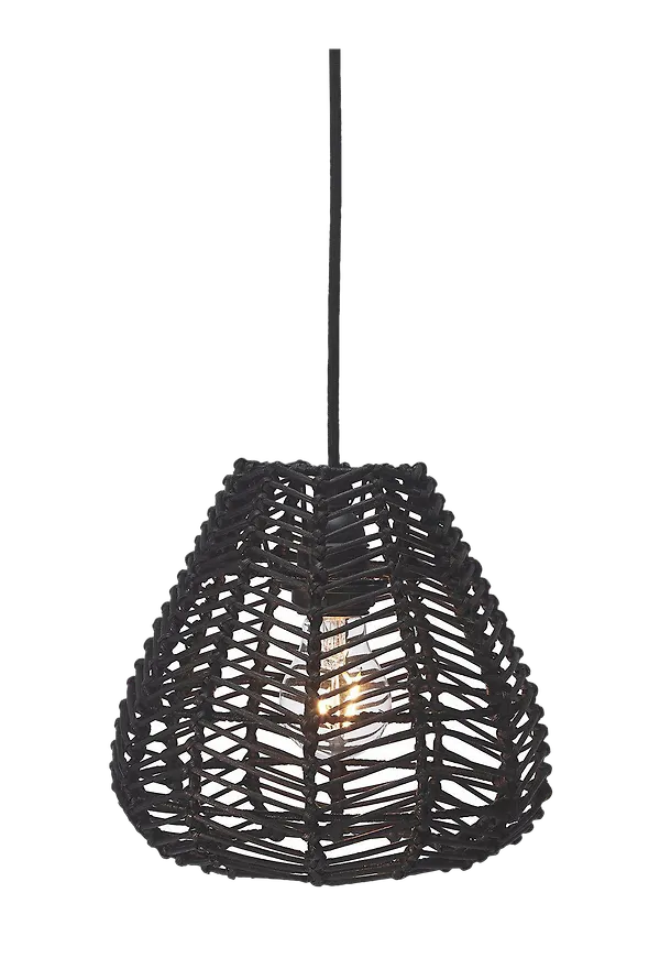 Svart taklampa som passar perfekt till våren 2025!