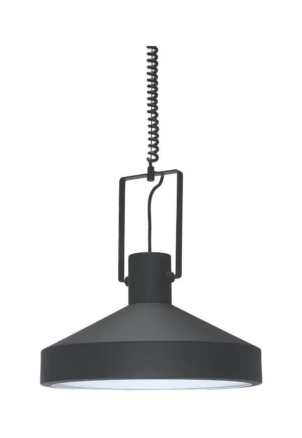 Svart taklampa som passar perfekt till våren 2025!