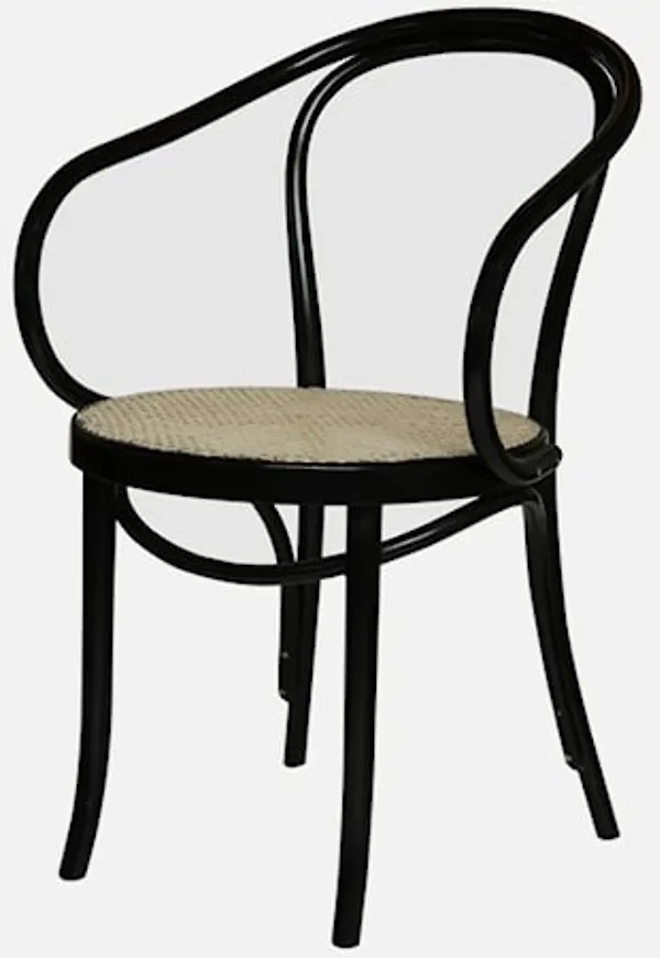 Riktigt snygg svart stol 2025 från Fameg.