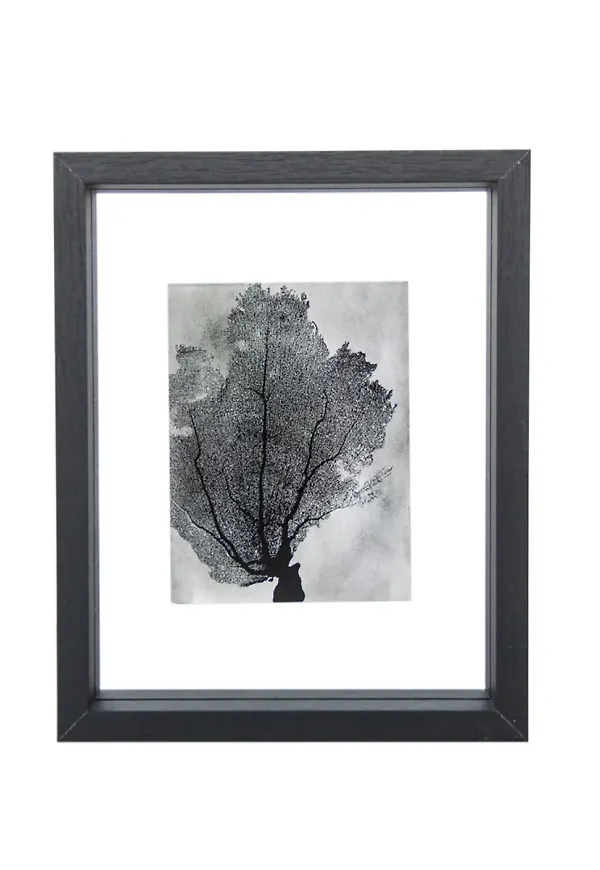 Svart URBAN NATURE CULTURE-tavelram i fin modell.