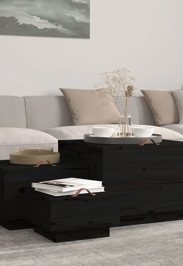 Otroligt snygg låda i svart från vidaXL.