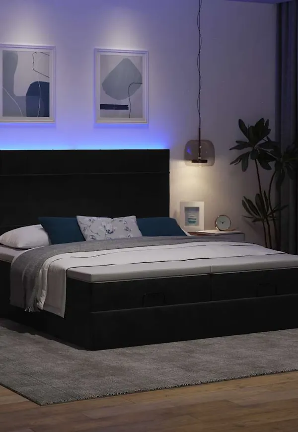 Stilren svart dubbelsäng 2025 från vidaXL.