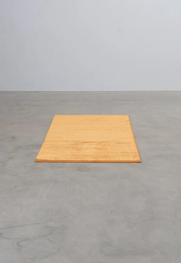 Jättesnygg matta 2025 från VM Carpet.
